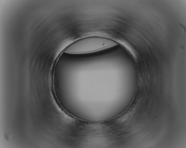 X0000092320999200709141047