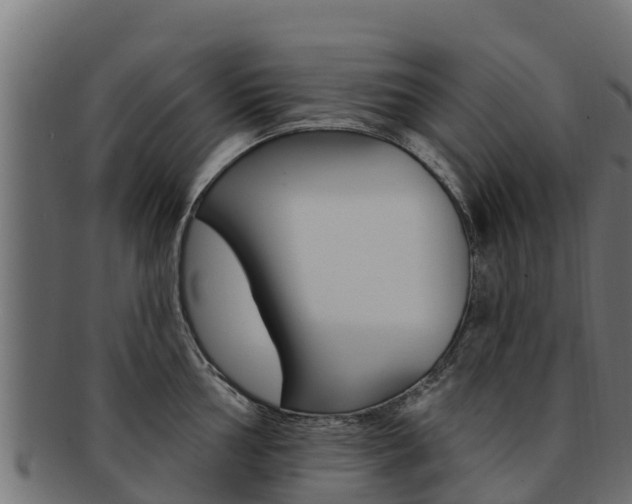 X0000092321002200709141047