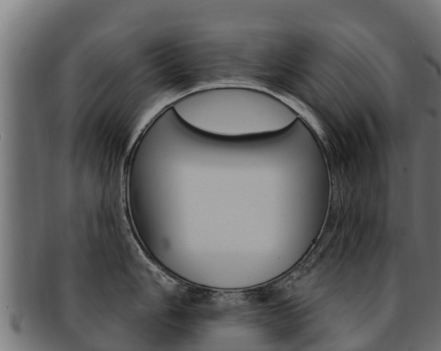 X0000092321006200709141047