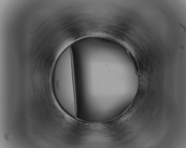 X0000092321007200709141047