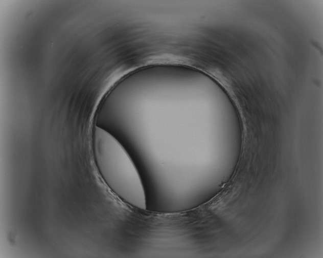 X0000092321008200709141047