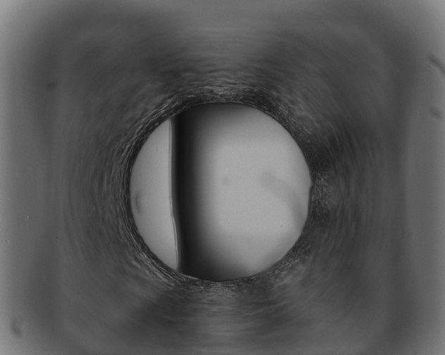 X0000092321009200709141046