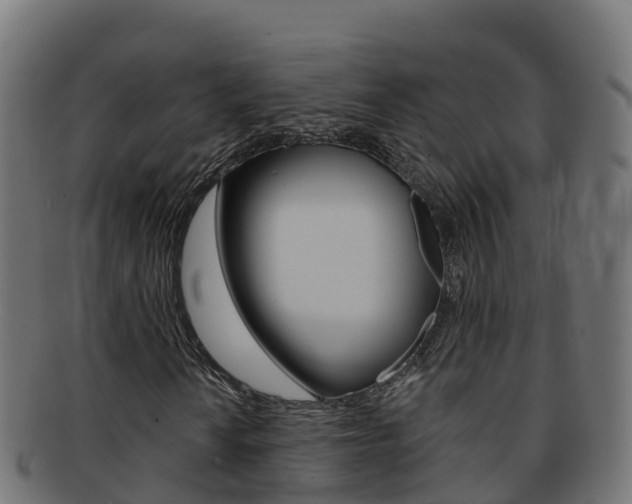 X0000092321010200709141046