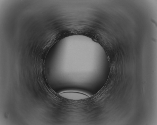 X0000092321012200709141046