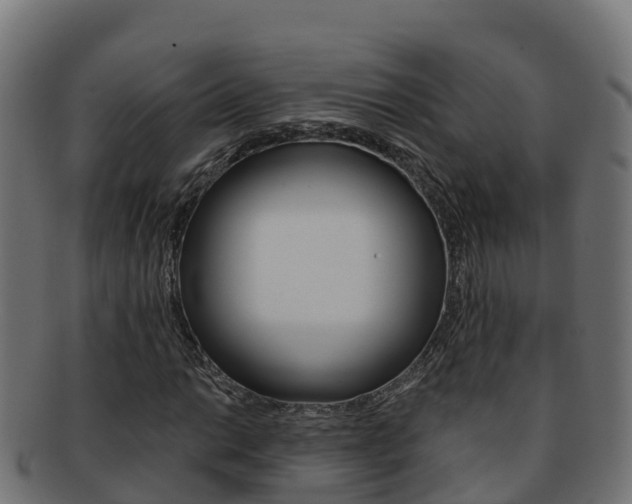 X0000092321014200709141046