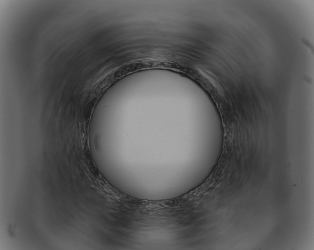 X0000092321015200709141046