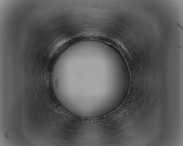 X0000092321016200709141046