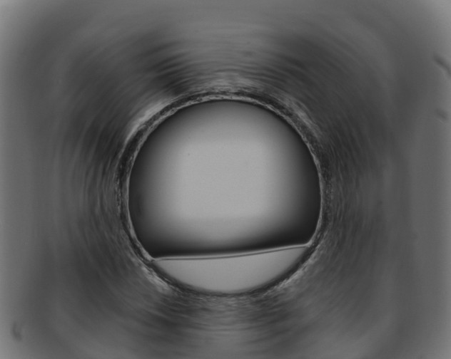 X0000092321018200709141046
