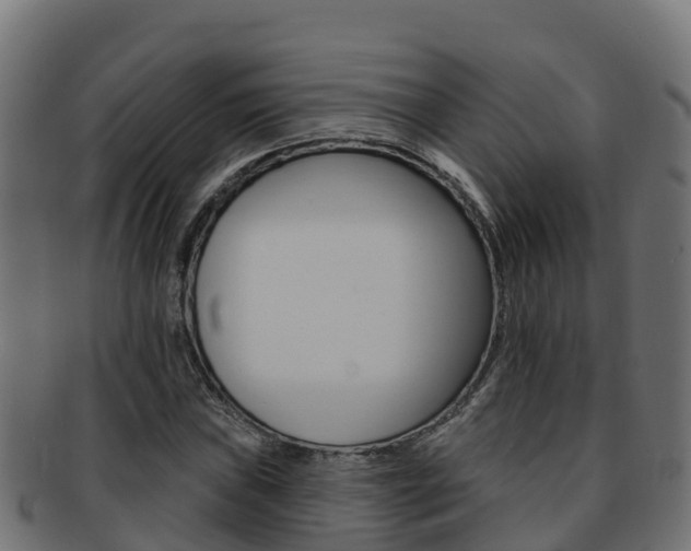 X0000092321019200709141046