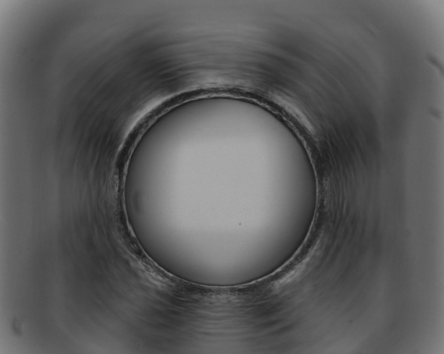 X0000092321021200709141046
