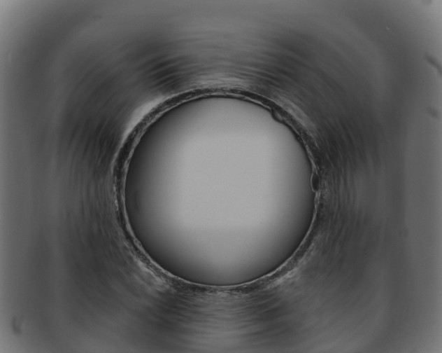 X0000092321022200709141046