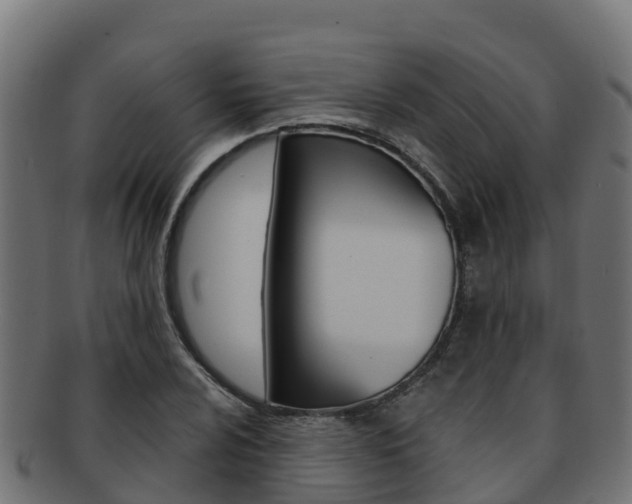 X0000092321024200709141046