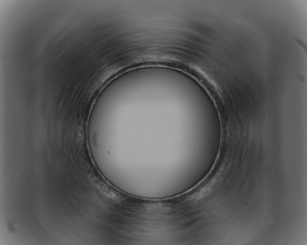 X0000092321025200709141046