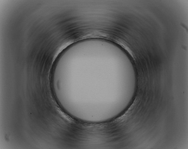 X0000092321026200709141046