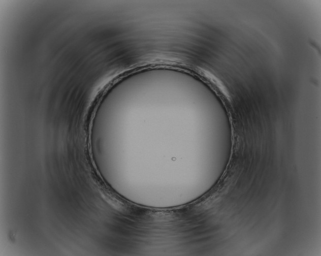 X0000092321027200709141046