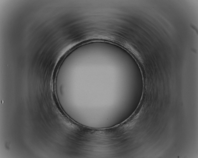 X0000092321028200709141046