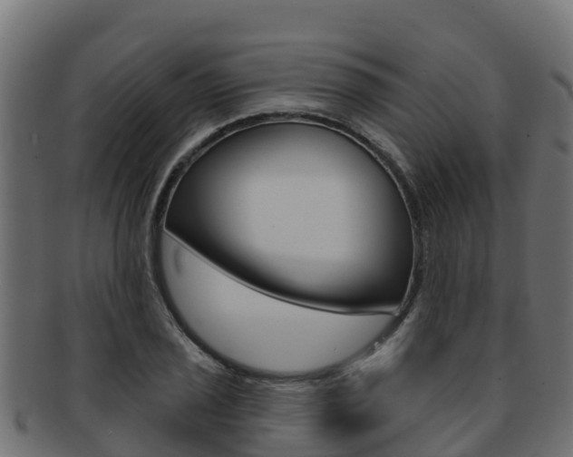 X0000092321029200709141047