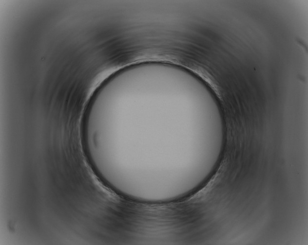 X0000092321030200709141047