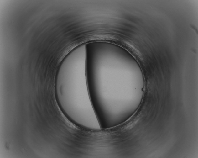 X0000092321033200709141047