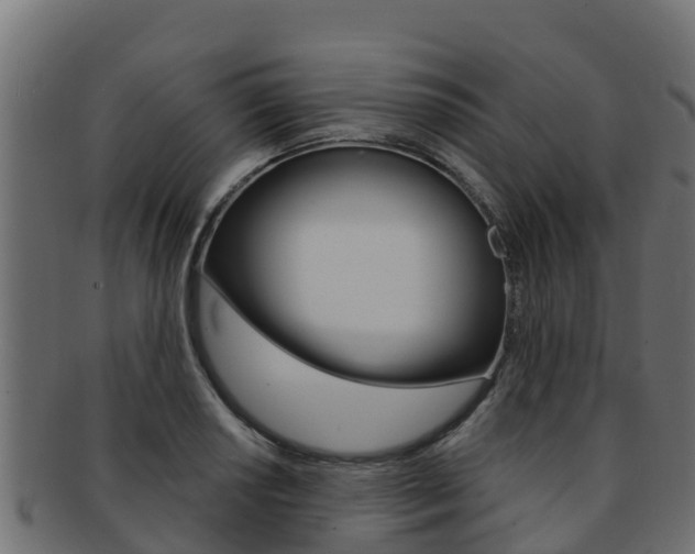 X0000092321034200709141047