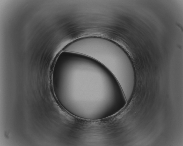 X0000092321038200709141047