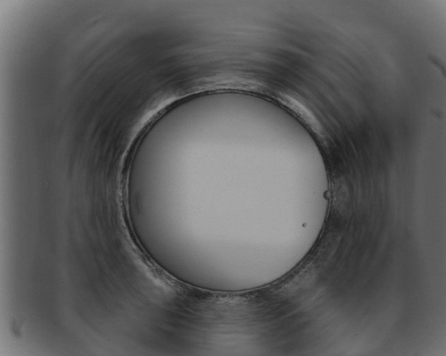 X0000092321043200709141047