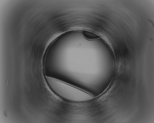 X0000092321045200709141047