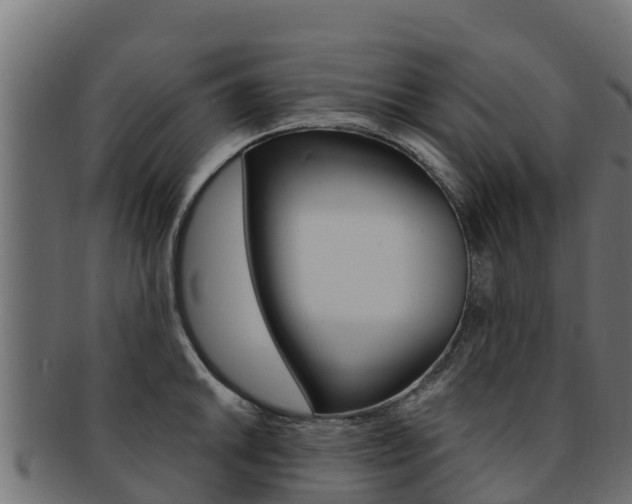 X0000092321046200709141047