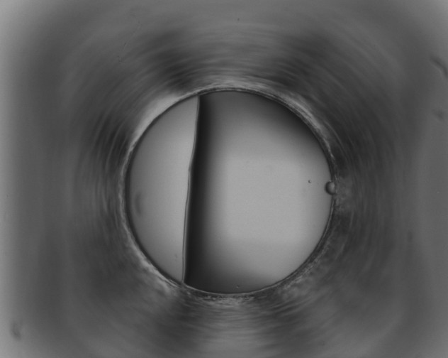 X0000092321048200709141047