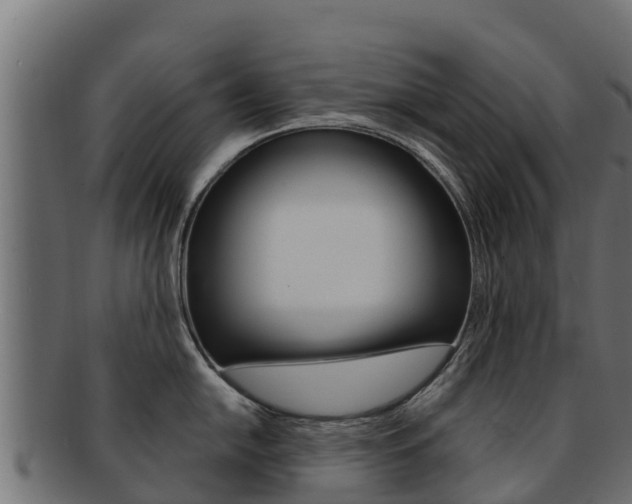 X0000092321054200709141047