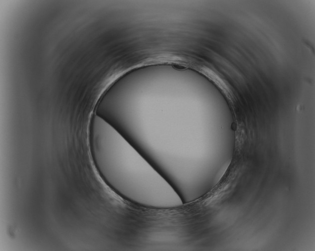 X0000092321055200709141047