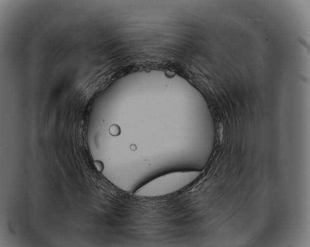 X0000092321059200709141046