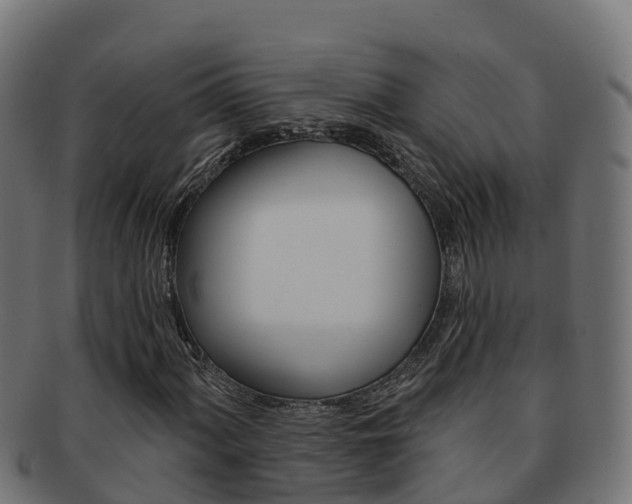 X0000092321060200709141046