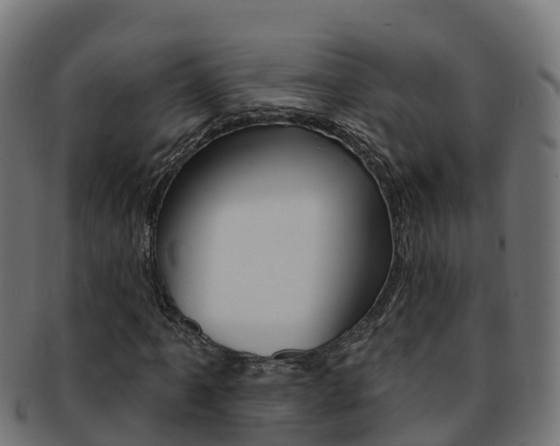 X0000092321061200709141046