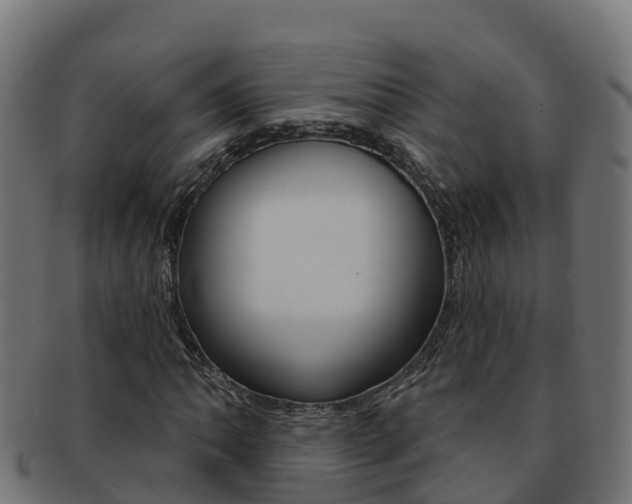 X0000092321062200709141046