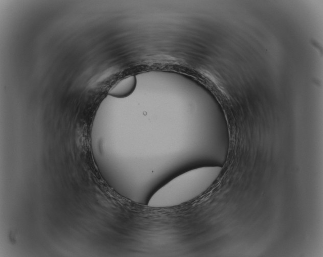 X0000092321063200709141046