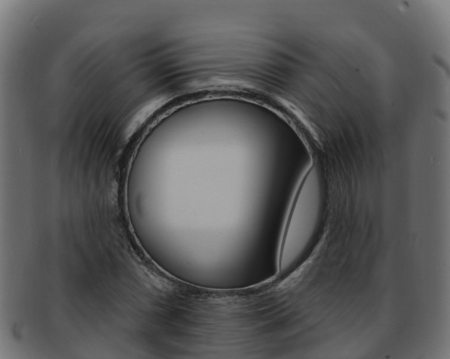 X0000092321066200709141046