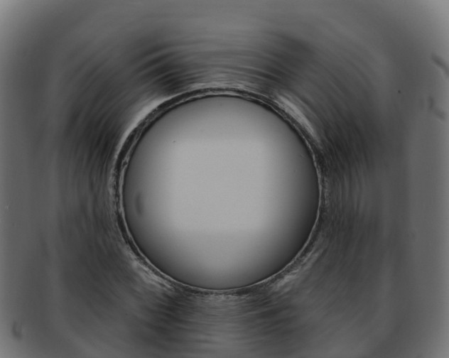 X0000092321068200709141046