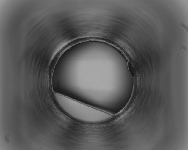 X0000092321069200709141046