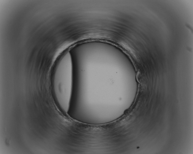 X0000092321070200709141046