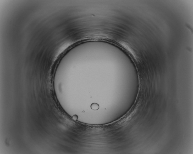 X0000092321071200709141046