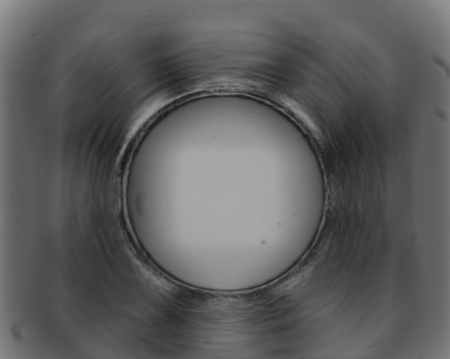 X0000092321075200709141046