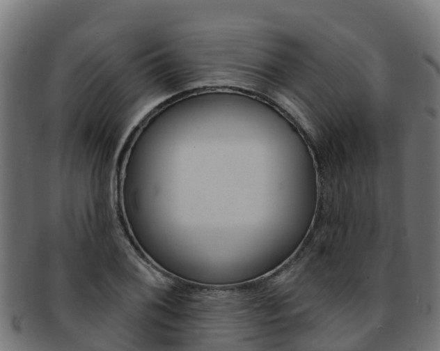 X0000092321076200709141046