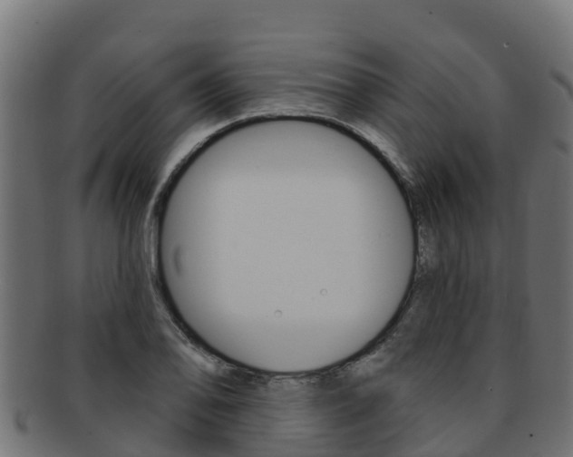 X0000092321078200709141046