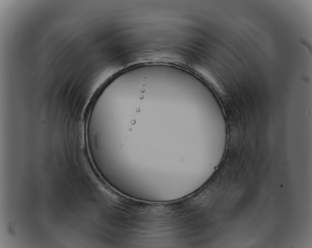 X0000092321079200709141046