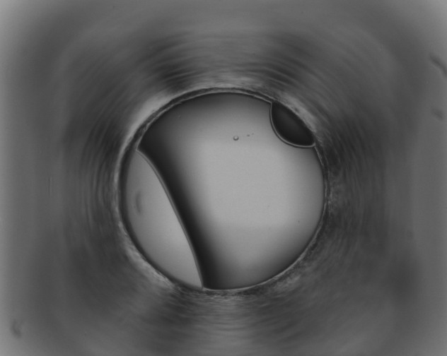 X0000092321080200709141046