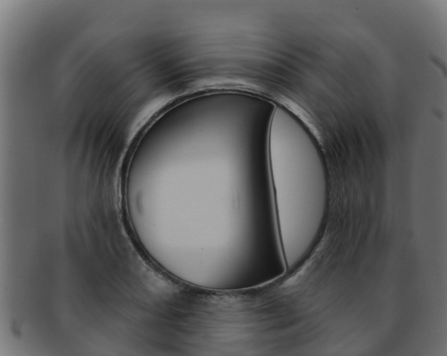 X0000092321082200709141046