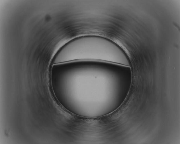 X0000092321085200709141046