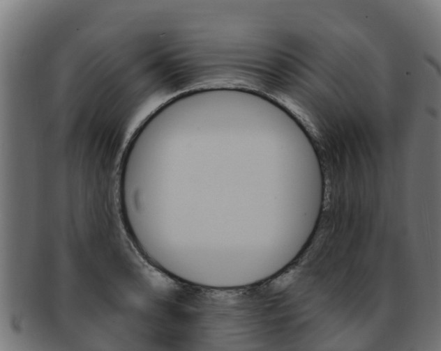 X0000092321086200709141046