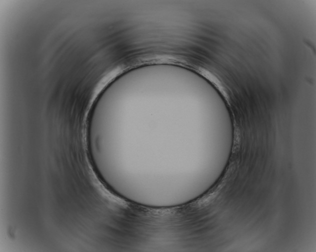 X0000092321090200709141046